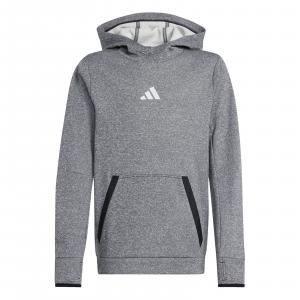 Bluza z kapturem dziecięca adidas KIDS szara IV9493