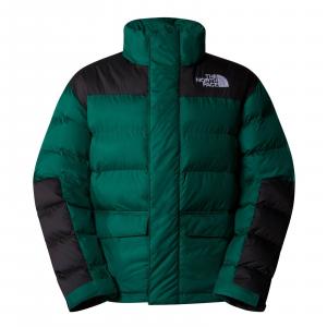 Kurtka puchowa damska The North Face LIMBARA zielona NF0A89G9NL1