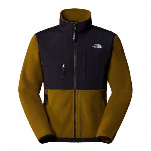 Polar męski The North Face RETRO DENALI zielona NF0A88XH5HO