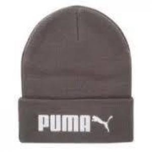 Czapka zimowa unisex Puma ESSENTIALS NO. 2 szara 02288703