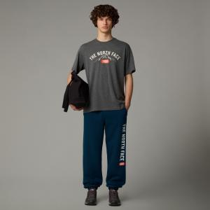 Koszulka męska The North Face VARSITY GRAPHIC szara NF0A89DGDYY