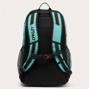 Plecak miejski unisex Oakley THE FRESHMAN SKATE 20 L niebieski FOS901202-7CC