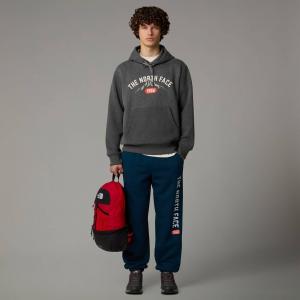 Bluza z kapturem męska The North Face VARSITY szara NF0A89DJDYY