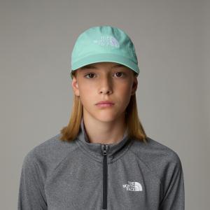 Czapka z daszkiem dziecięca The North Face HORIZON zielona NF0A7WG9AFX