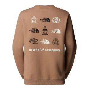 Bluza damska The North Face OUTDOOR GRAPHIC brązowa NF0A8C246IH