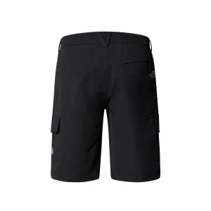 Szorty męskie The North Face HORIZON grafitowe NF0A824D4EN
