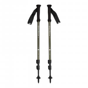 Kije trekkingowe unisex Black Diamond EXPLORER 3 zielone BD1125513010
