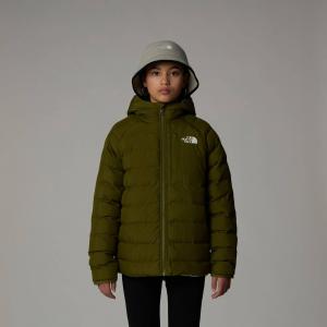Kurtka puchowa dziewczęca The North Face PERRITO zielona NF0A88UEPIB