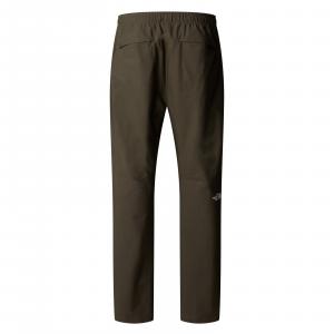 Spodnie trekkingowe męskie The North Face LIMESTONE zielone NF0A8BT921L
