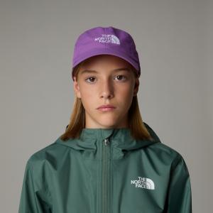 Czapka z daszkiem dziecięca The North Face HORIZON fioletowa NF0A7WG9AI2