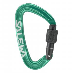 Karabinek wspinaczkowy unisex Salewa ORTLES SCREW zielony 00-0000072005_5210