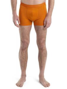 Bielizna Męska Icebreaker Anatomica Cool-Lite Boxers Majtki IB105246865