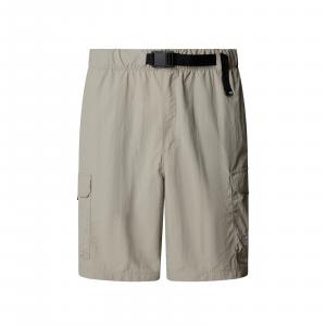 Szorty męskie The North Face NSE szare NF0A8BJM1I4