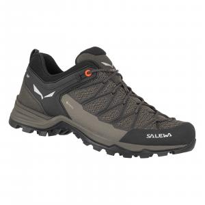 Buty trekkingowe męskie Salewa MTN TRAINER LITE GTX brązowe 00-0000061361_7512