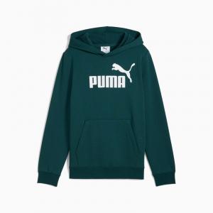 Bluza z kapturem chłopięca Puma ESS NO.1 LOGO FL zielona 68490875