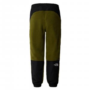 Spodnie dresowe polarowe męskie The North Face FLEESKI Y2K zielone NF0A879MPIB