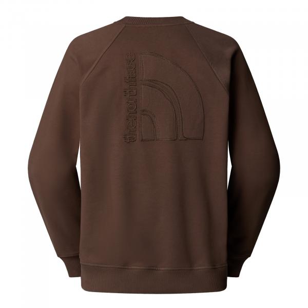 Bluza męska The North Face LOGO RMST brązowa NF0A8C361OI