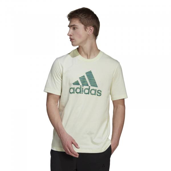 Koszulka męska adidas SPORTSWEAR SD zielona HE6760