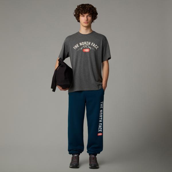 Koszulka męska The North Face VARSITY GRAPHIC szara NF0A89DGDYY
