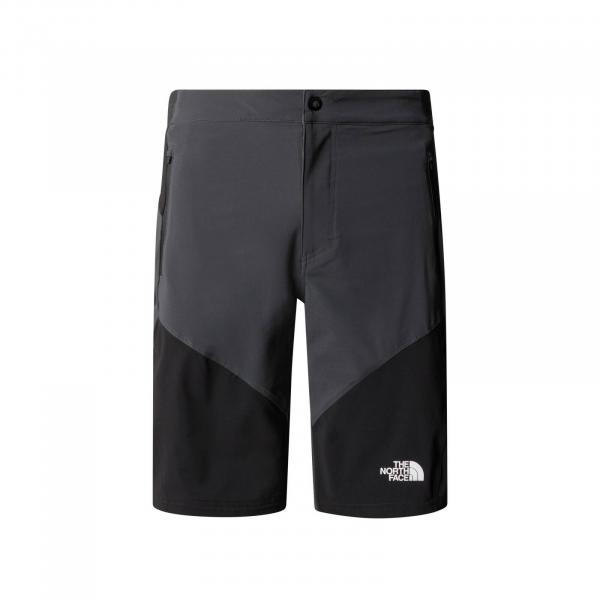 Szorty męskie The North Face FELIK SLIM TAPERED szare NF0A825XK1C