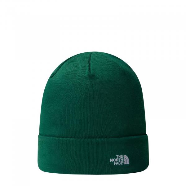 Czapka zimowa unisex The North Face NORM BEANIE zielona NF0A5FW1NL1