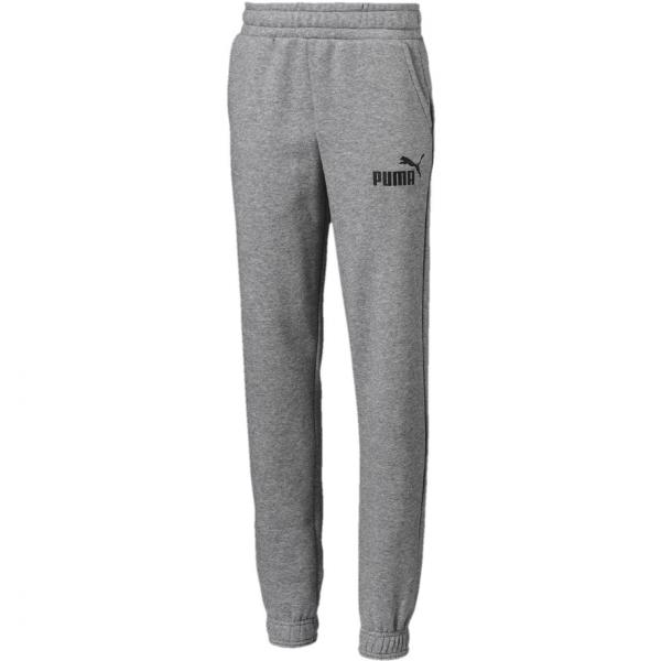 Spodnie dresowe chłopięce Puma ESSENTIAL LOGO FL B szare 85210703