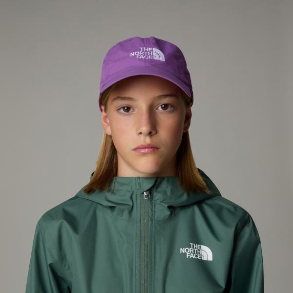 Czapka z daszkiem dziecięca The North Face HORIZON fioletowa NF0A7WG9AI2
