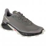 Buty do biegania Salomon Alphacross 5 473133 szare