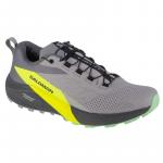 Buty do biegania Salomon Sense Ride 5 M 471442 szare