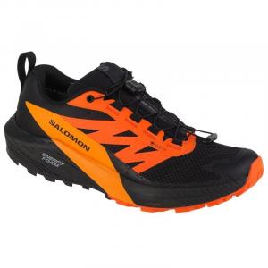 Buty do biegania Salomon Sense Ride 5 Gtx M 471473 wielokolorowe