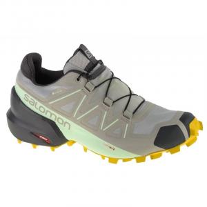 Buty do biegania Salomon Speedcross 5 Gtx W 416128 szare