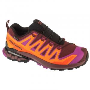 Buty do biegania Salomon Xa Pro 3D v9 Gtx W L47961900 wielokolorowe