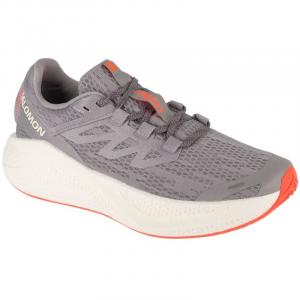 Buty do biegania Salomon Aero Glide 3 L47810600 szare