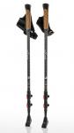 Kije Nordic Walking Vivo Spec NW220