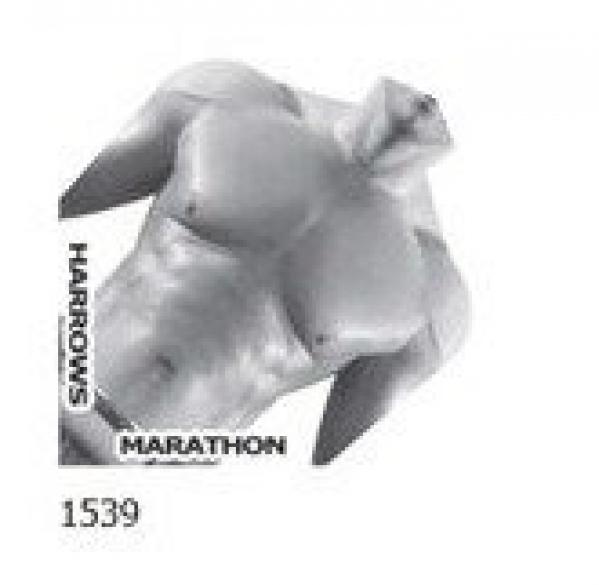 LOTKA HARROWS MARATHON