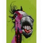 Norimpex Malowanie po numerach 40x50cm Zwariowany koń 1008980