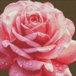 Ideyka Diamentowa mozaika - Doskonała róża 40x40cm