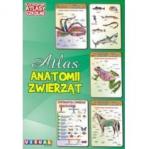 Ilustrowany atlas szkolny. Atlas anatomii zwierząt