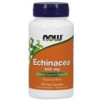 Now Foods Echinacea Root 400 mg Suplement diety 100 kaps.