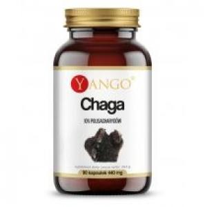 Yango Chaga - ekstrakt 10% polisacharydów - suplement diety 90 kaps.