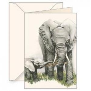 Karnet B6 z kopertą Słonie
