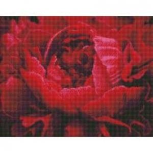 Ideyka Diamentowa mozaika - Wyśmienity kwiat 40 x 50 cm