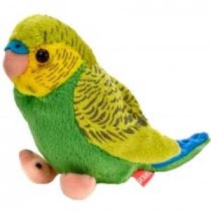 Papuga falista zielono-niebieska 13cm Beppe