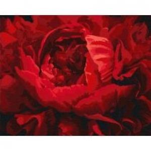 Ideyka Malowanie po numerach - Wyśmienity kwiat 40x50cm