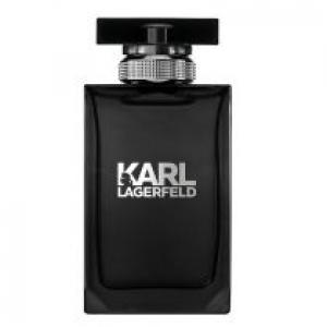 Karl Lagerfeld Pour Homme woda toaletowa spray 100 ml