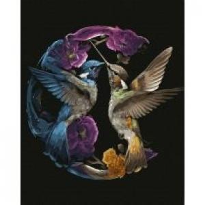 Twoje Hobby Malowanie po numerach - Kolorowe kolibry 40x50cm
