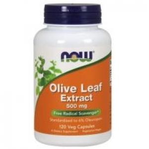 Now Foods Olive Leaf extract - standaryzowany Liść Oliwny 500 mg Suplement diety 120 kaps.
