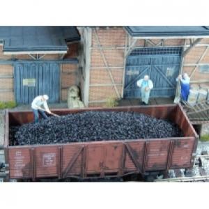 Juweela Węgiel czarny 100 g