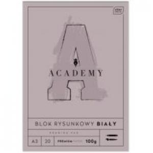 Interdruk Blok rysunkowy A3 Academy 100g 20 kartek