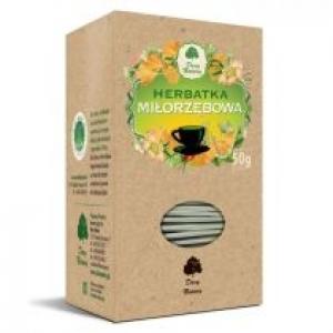 Dary Natury Herbata miłorzębowa 25 x 2 g